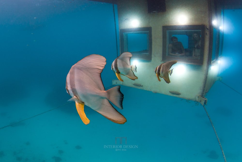 奔巴島的海上漂浮旅館_52a111fae8e44e90be000055_the-manta-underwater-room-genberg-underwater-hotels_131.jpg