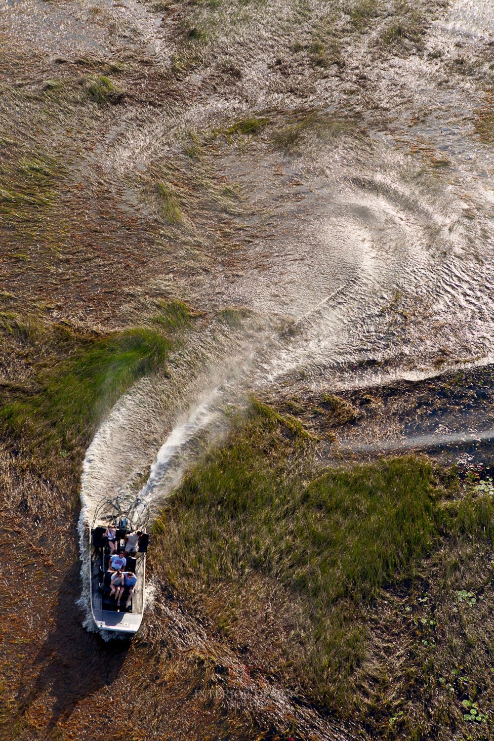 貝里斯卡阿娜溫泉渡假村 Ka Ana resort_55381073-H1-Ka\\\\\\'ana-airboat-hires-5.jpg