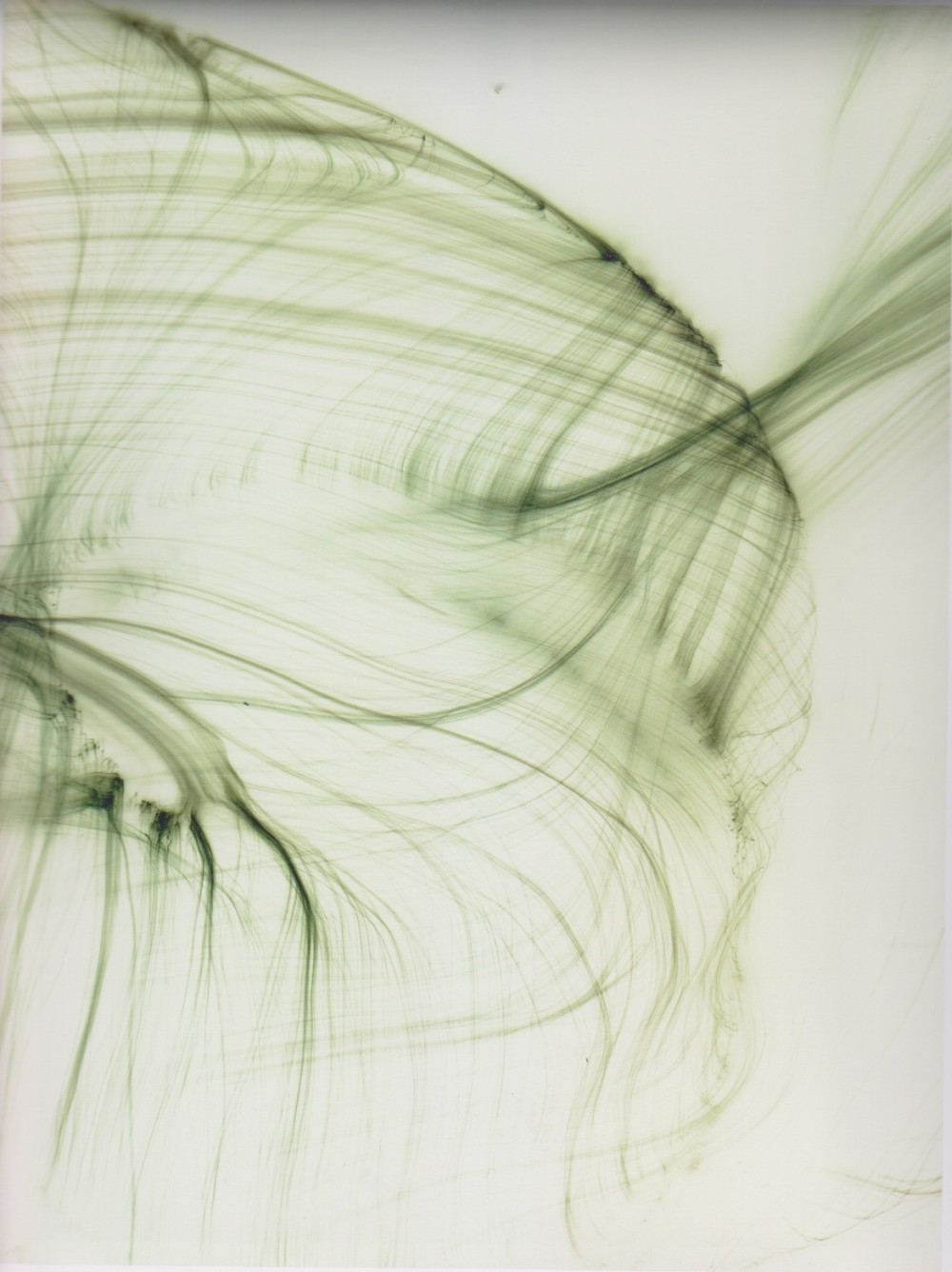 wolfgang  tillmans abstract pictures p135.jpg