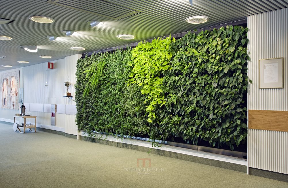 Plantwall_2011_Pagen_Malmo_Sweden_03.jpg