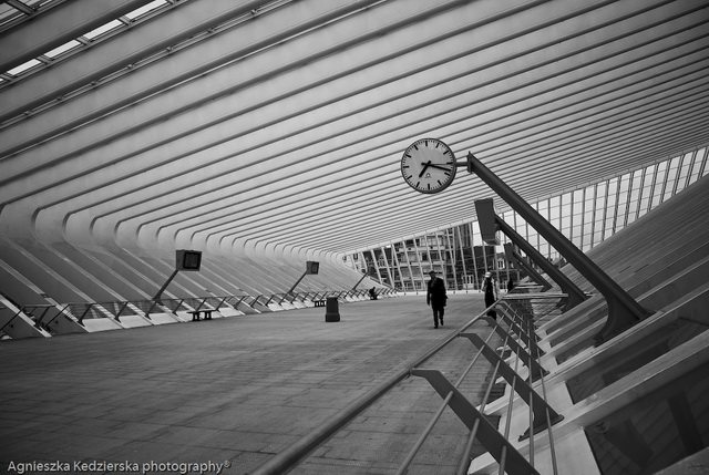 列日居尔曼高铁火车站_liege-guillemins-train-station-20.jpg