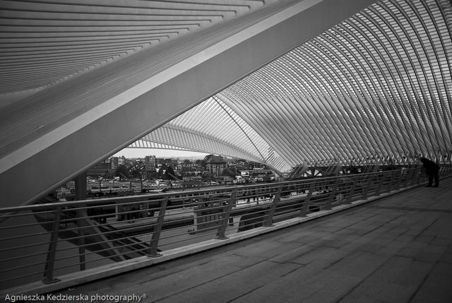 列日居尔曼高铁火车站_liege-guillemins-train-station-22.jpg