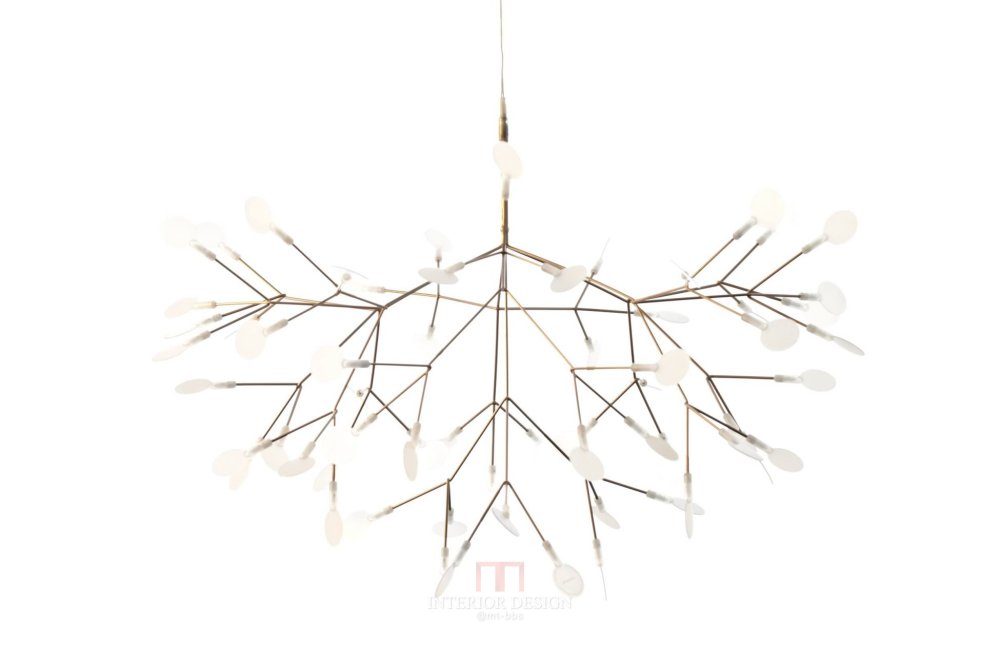 heracleum_white3_copper.jpg