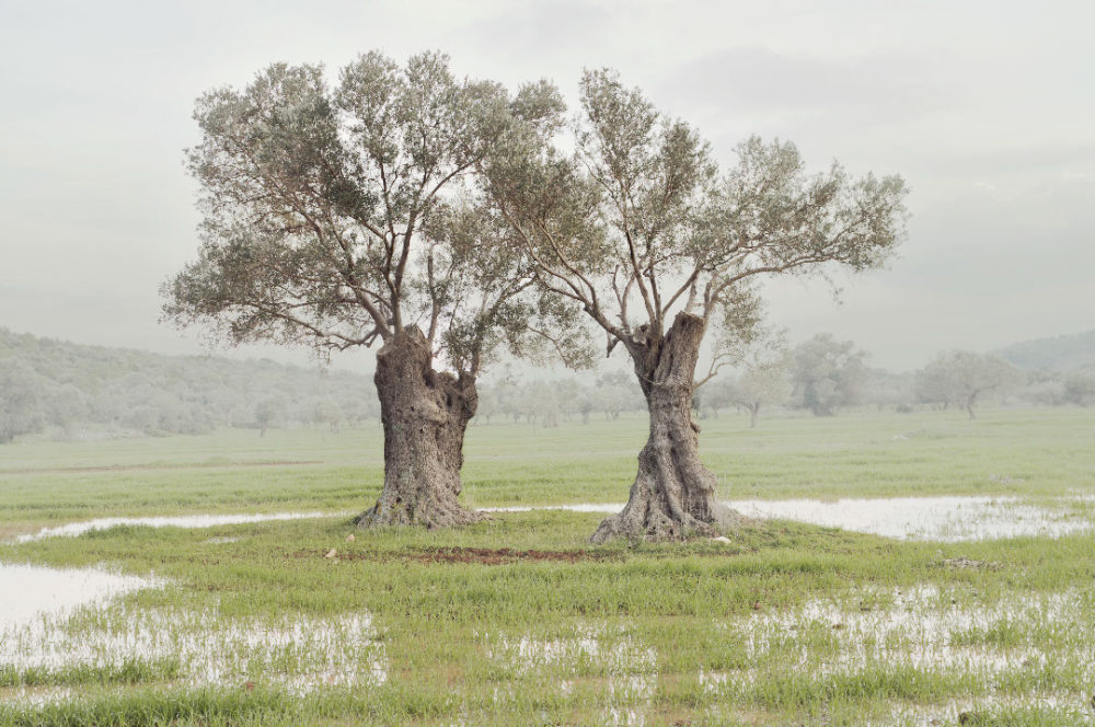 IN LANDSCAPES / Petros Koublis__c_3g3IqlYdUF3lkxyuxZlZqLI5iyQkdSHuK9M0D14du31ZEc1zOjf7ga0Nsbm9UASLSaWkCn71nyNRU.jpg