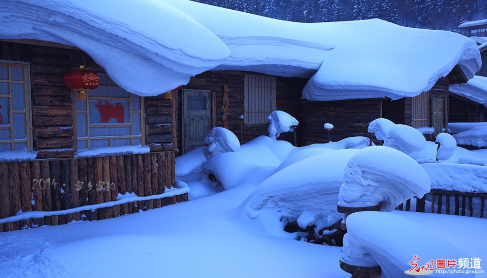 美丽雪景_081651bhdyycnrcyftt5dc.jpg