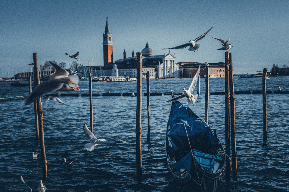 CARNIVAL OF VENICE,2013（高清）_IMG_3912s.jpg