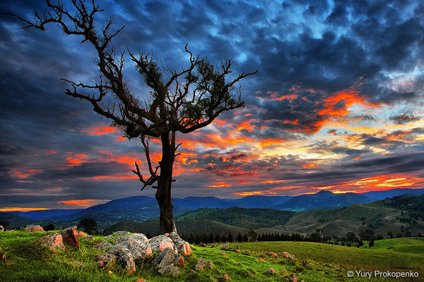 100张日落摄影照片--------国外网站搜集_17-HDR-Sunset.jpg