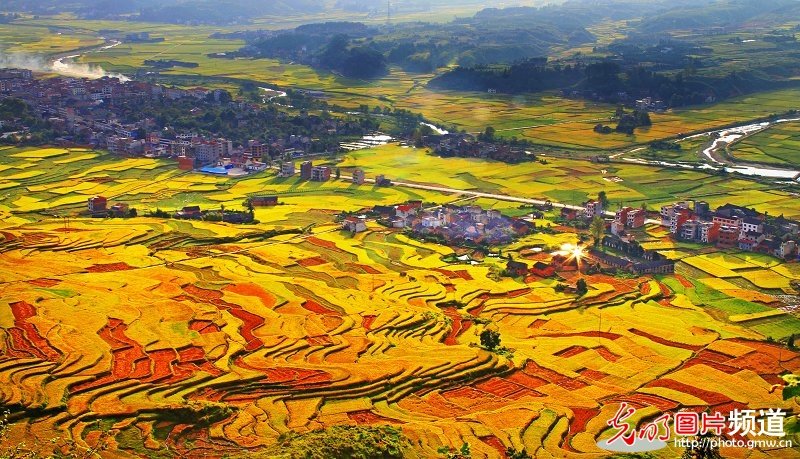 油画般的田园风景_112544q88z4dc47kve5o4f.jpg