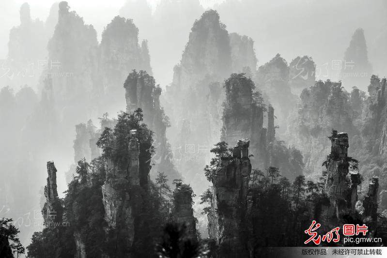 水墨风景画-张家界风光_水墨张家界b.jpg