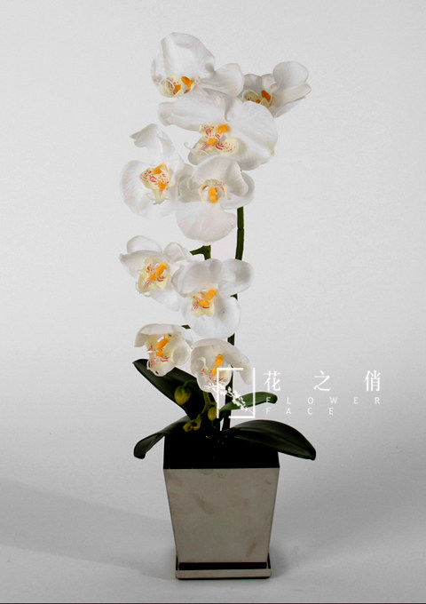 大千家居——花之俏FLOWERFACE_FR-OM4584.jpg