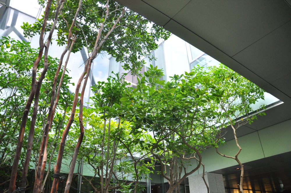 新加坡Orchard Central商业自拍_DSC_0447 (3).JPG