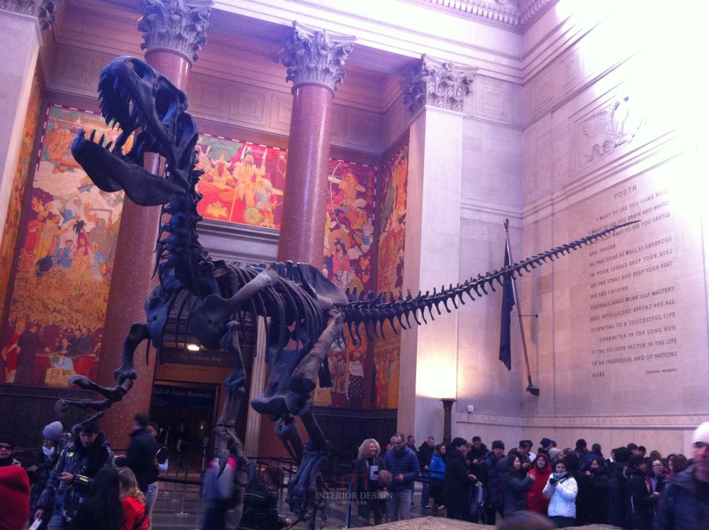 美国自然史博物馆-American Museum of Natural History(随拍图)_IMG_1476.jpg