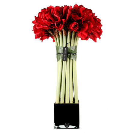 花艺杂篇——白底小花器_giant-red-couture-amaryllis-topiary-.jpg