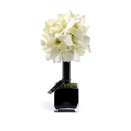 花艺杂篇——白底小花器_white-couture-orchid-topiary.jpg