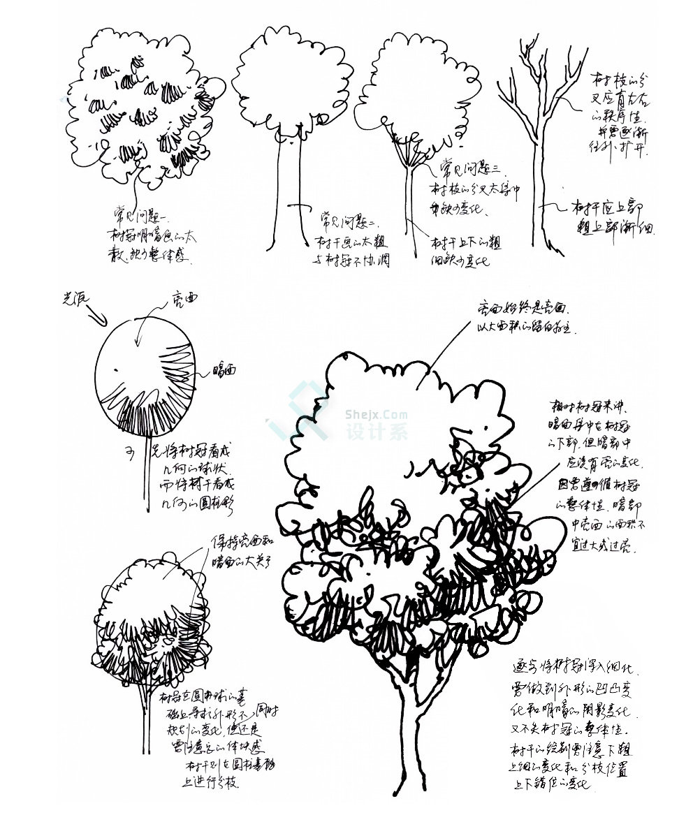 20画植物单体的一些错误画法.jpg