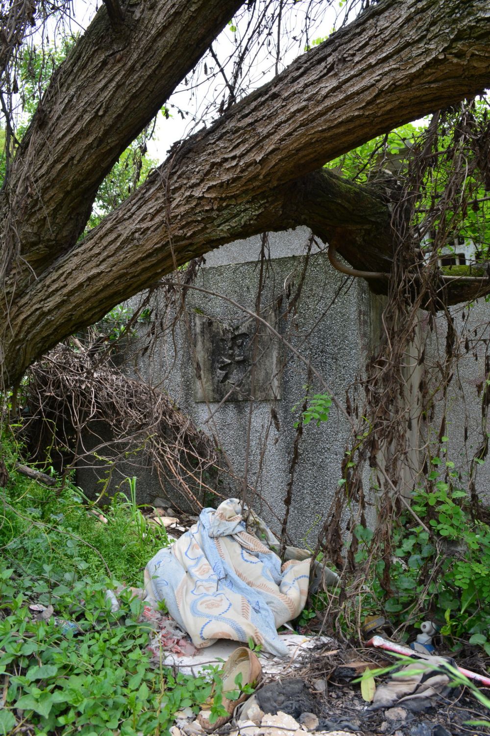 贵阳多彩贵州城--香樟园（项目进度顶起更新）_DSC_0734_调整大小.JPG