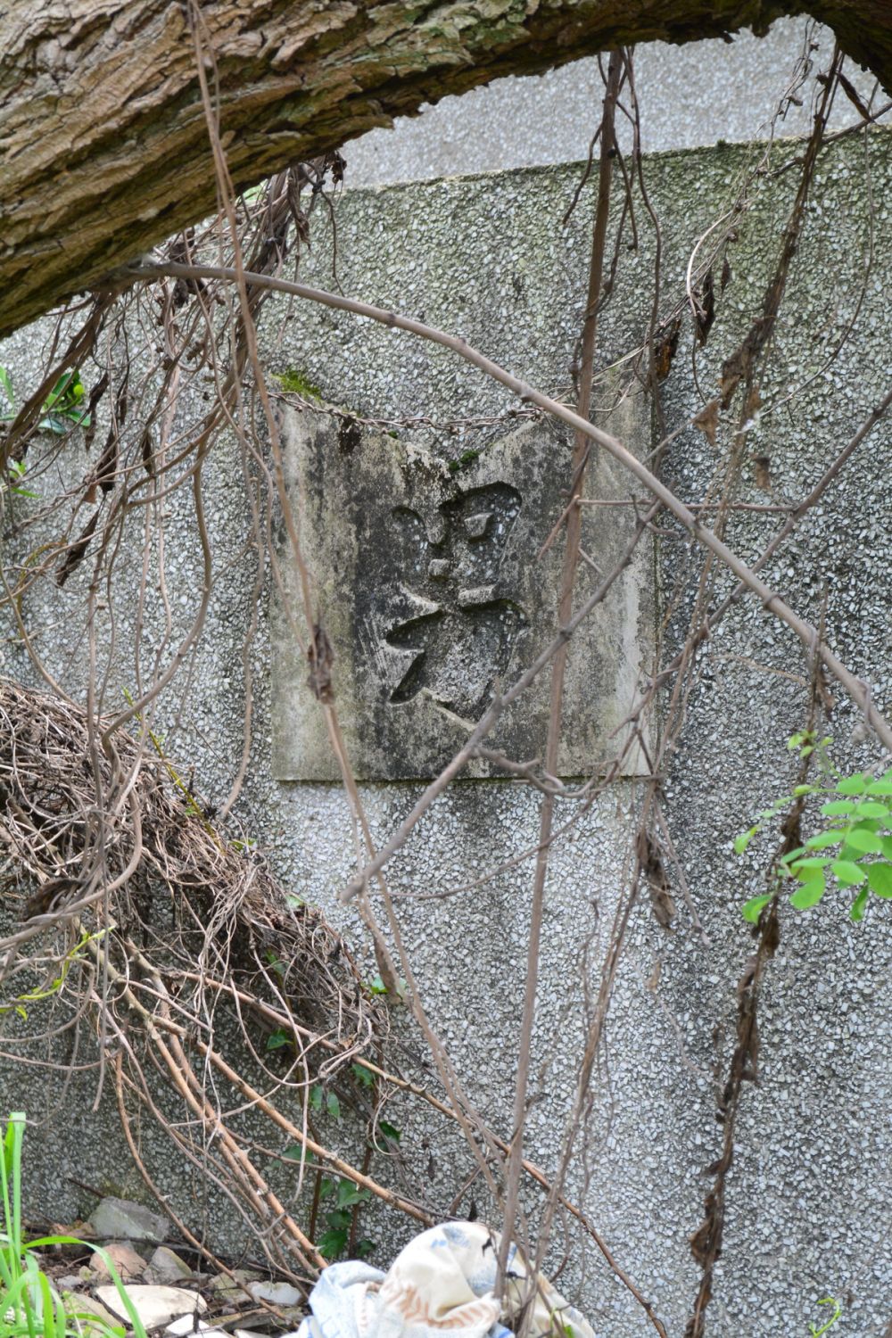 贵阳多彩贵州城--香樟园（项目进度顶起更新）_DSC_0735_调整大小.JPG