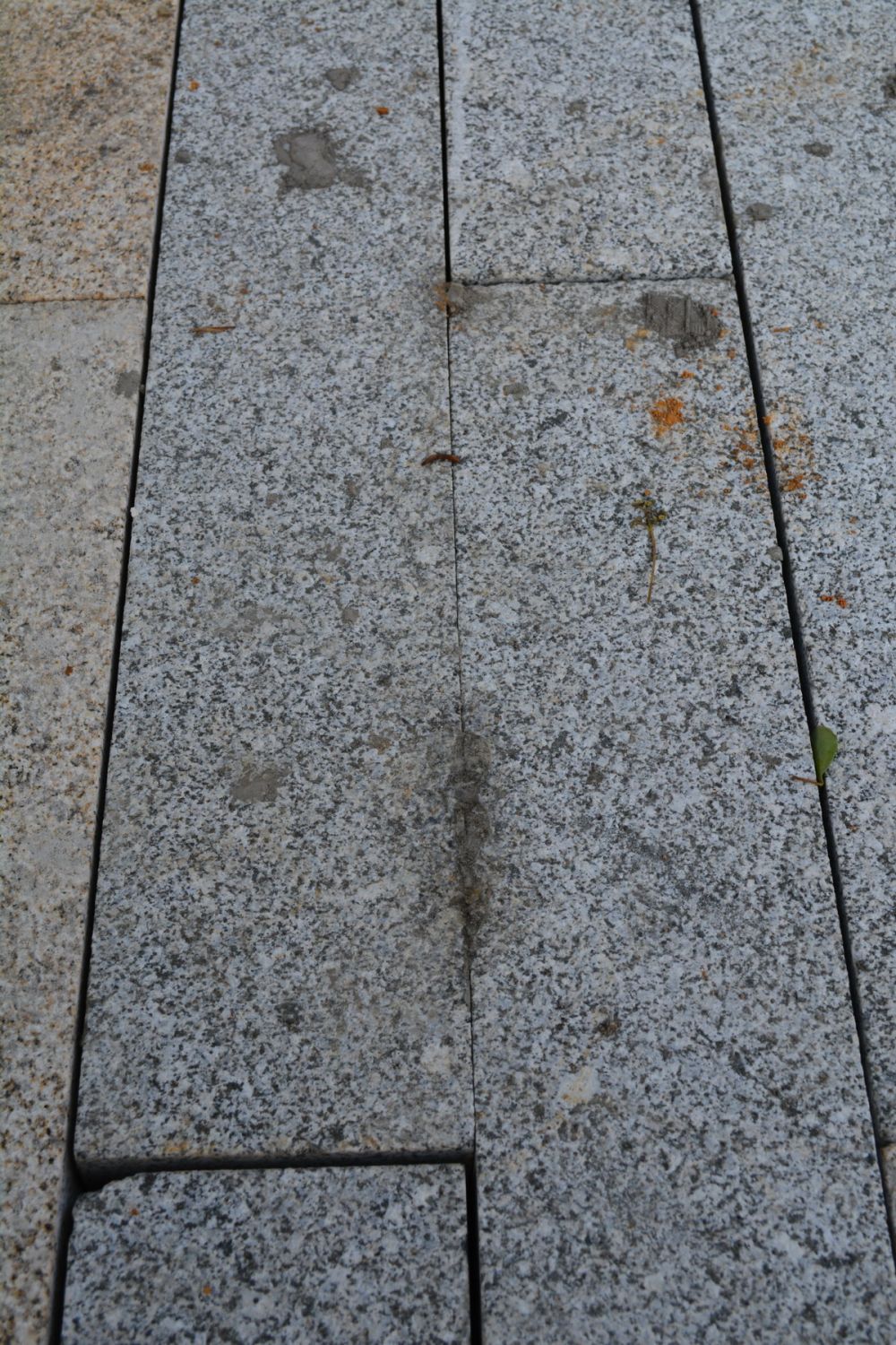 贵阳多彩贵州城--香樟园（项目进度顶起更新）_DSC_0751_调整大小.JPG