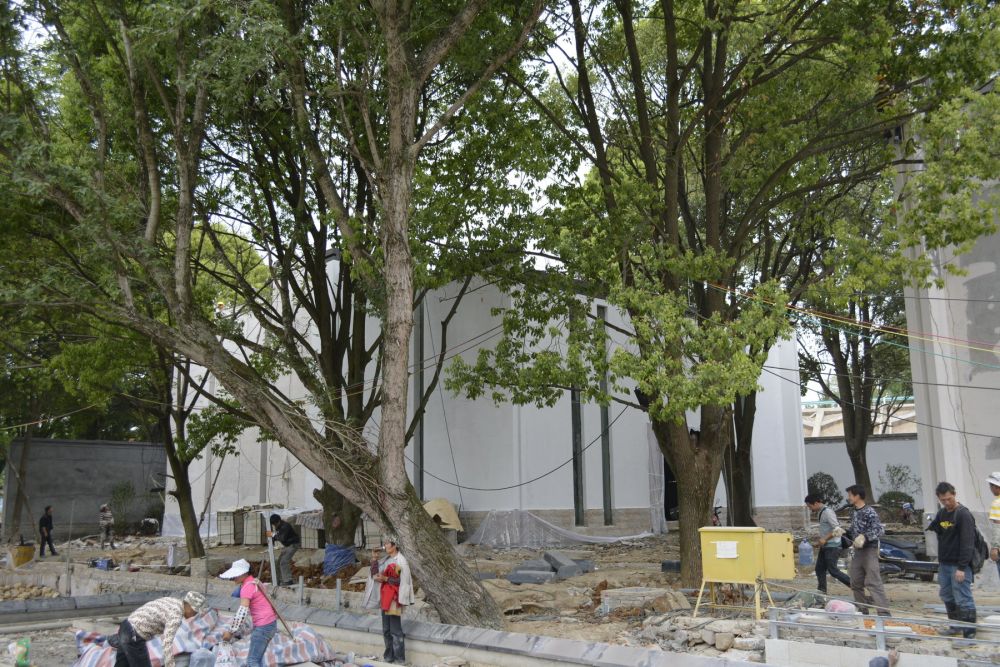 贵阳多彩贵州城--香樟园（项目进度顶起更新）__DSC0934_调整大小.JPG