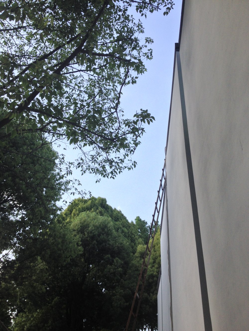 贵阳多彩贵州城--香樟园（项目进度顶起更新）_IMG_0540.JPG