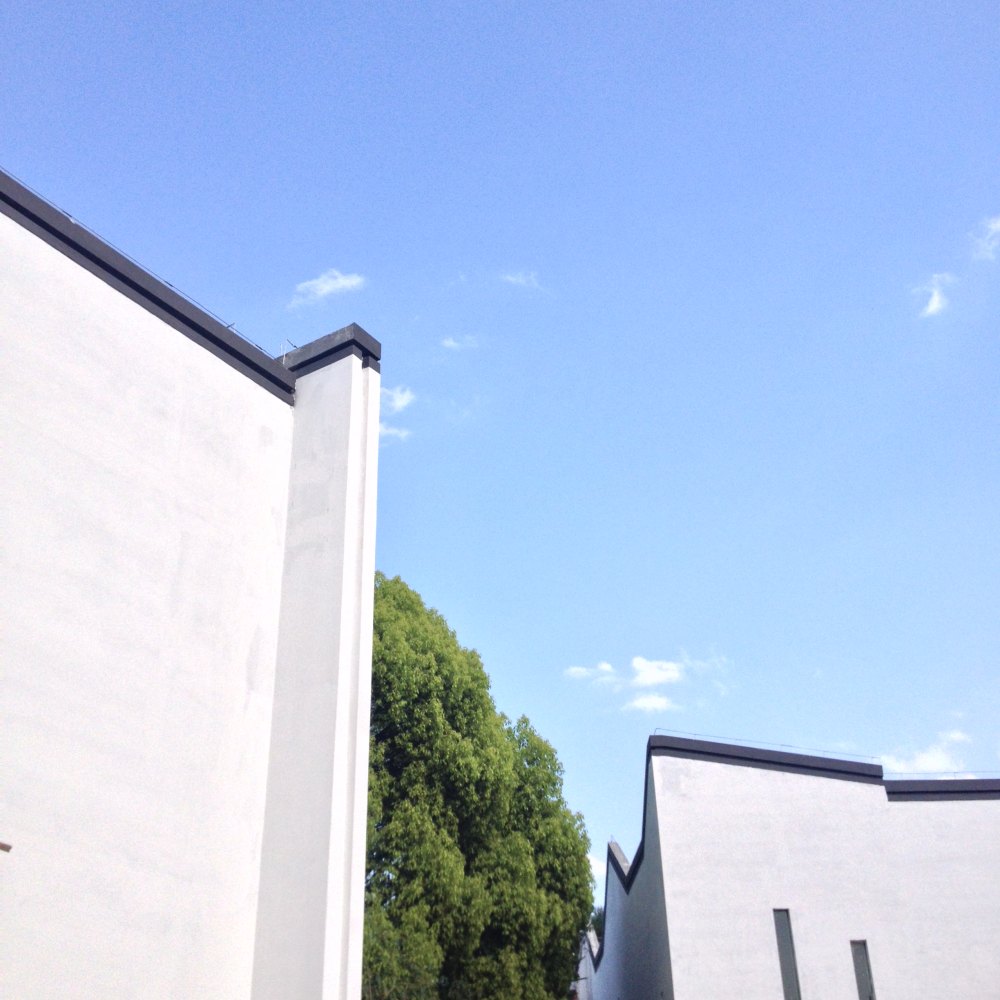 贵阳多彩贵州城--香樟园（项目进度顶起更新）_IMG_0554.JPG