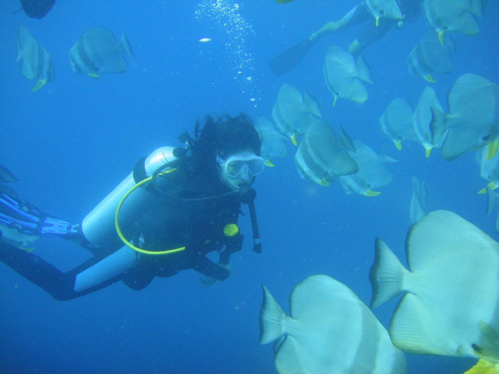 马尔代夫卓美亚维塔维丽(官方摄影) Jumeirah Vittaveli_Jumeirah Vittaveli - Diving and Snorkelling on the house reef5.jpg