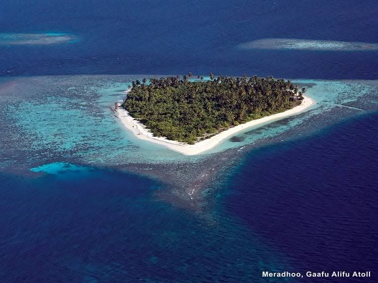 卓美亚德瓦纳芙希岛度假酒店(官方摄影) Jumeirah Dhevanafushi_Jumeirah Dhevanafushi - Exterior Island aerial view.jpg