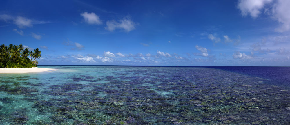 卓美亚德瓦纳芙希岛度假酒店(官方摄影) Jumeirah Dhevanafushi_Jumeirah Dhevanafushi - Coral.jpg