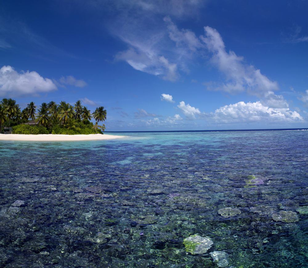 卓美亚德瓦纳芙希岛度假酒店(官方摄影) Jumeirah Dhevanafushi_Jumeirah Dhevanafushi - Unspoiled Coral.jpg