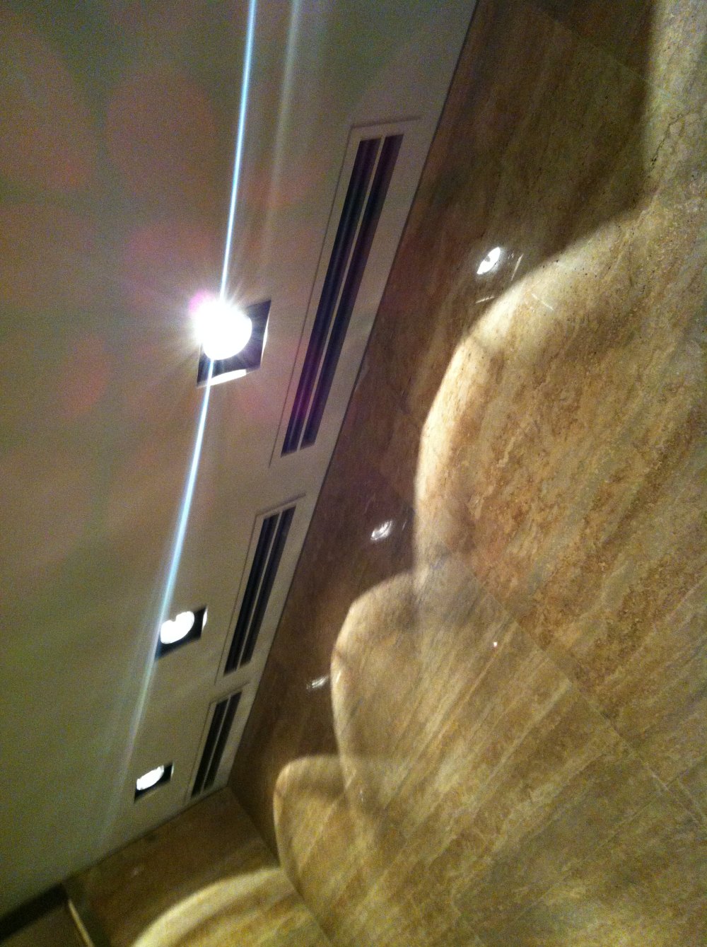 广州文华东方酒店(Mandarin Oriental Hotel)20130613第9页更新_IMG_5117.JPG