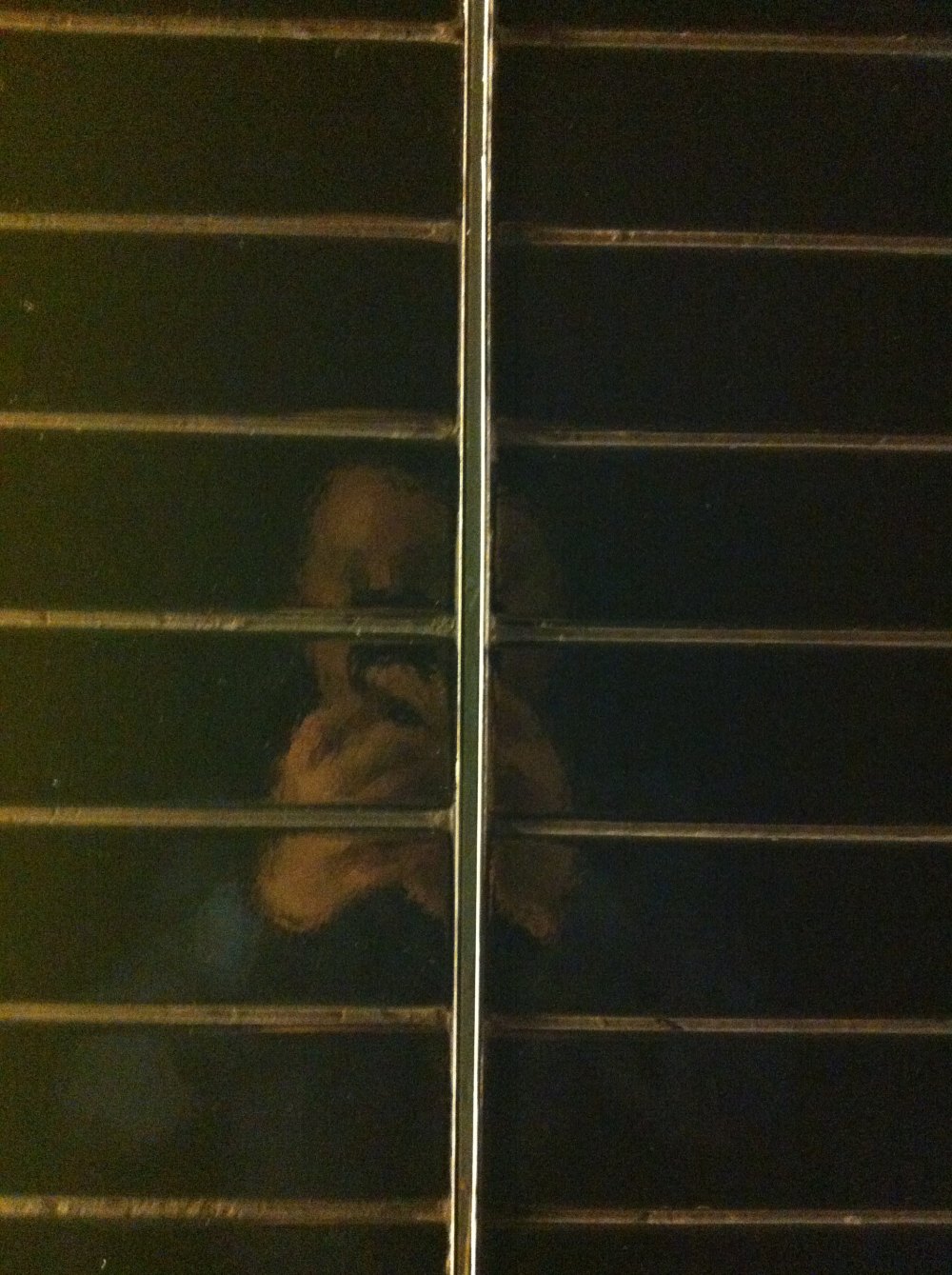 广州文华东方酒店(Mandarin Oriental Hotel)20130613第9页更新_IMG_5143.JPG