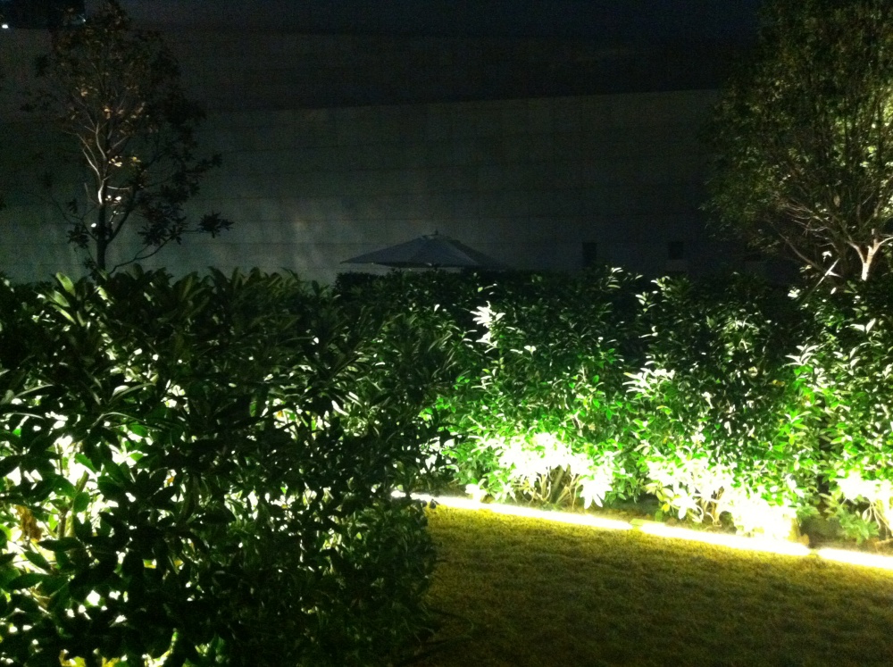 广州文华东方酒店(Mandarin Oriental Hotel)20130613第9页更新_IMG_5249.JPG