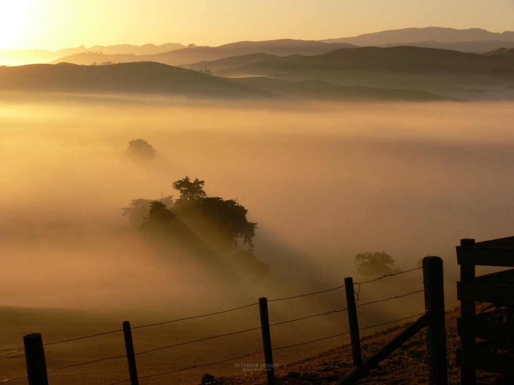 新西兰哈斯丁格林希尔度假屋 Greenhill Lodge Hastings_58954734-H1-Greenhill_trees_in_the_morning_mist.jpg