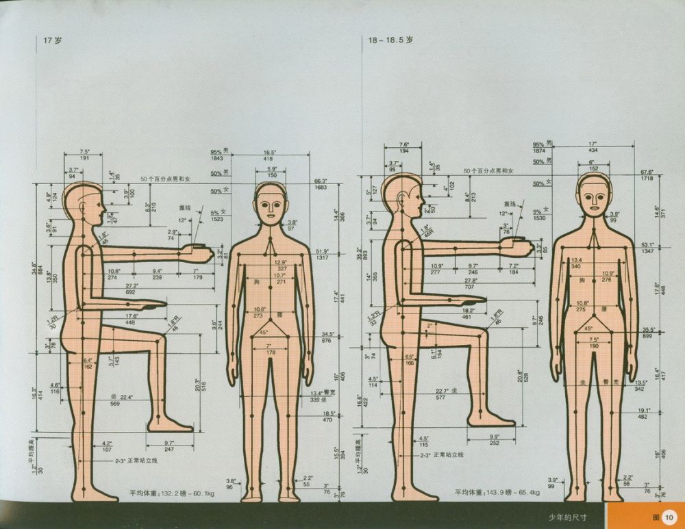 彩色人体工程学图解——设计师必备_1144*888的像素，足够放大了
