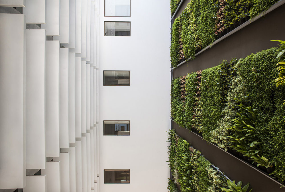 拥抱风景的公寓_05 公共中庭引入阳光，垂直绿墙成为一道风景