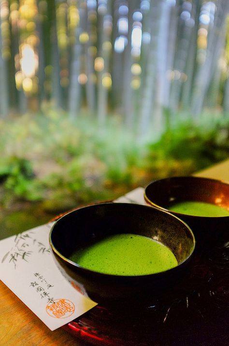 【地平线下的陈设】抹茶 Matcha_89adfb67d94a7db5406fb87b69d258f5.jpg