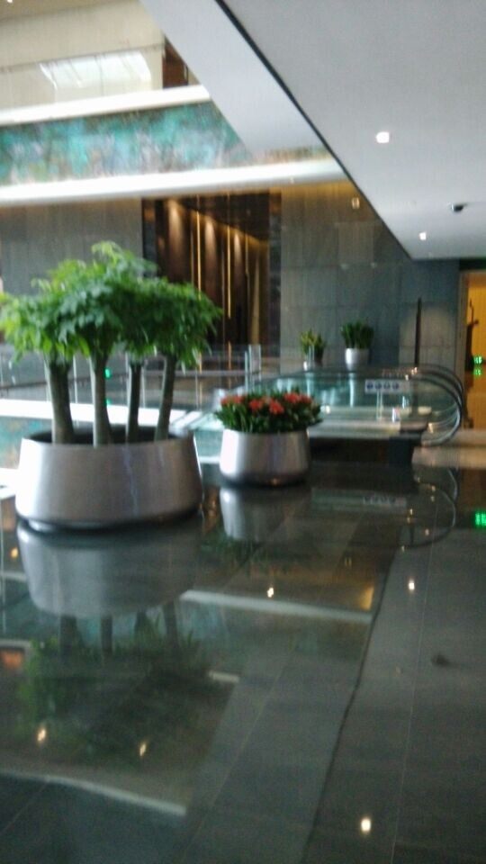 北辰洲际酒店手拍分享_QQ图片20140928095002.jpg