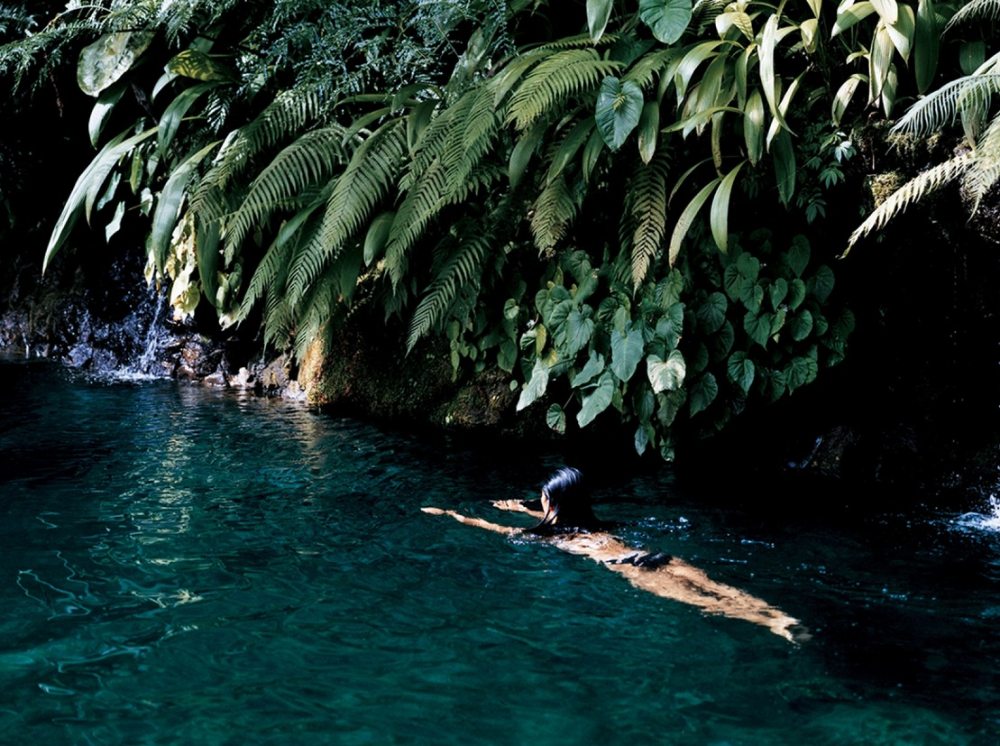 Koichiro Ikebuchi -巴厘岛科莫香巴拉度假酒店 COMO Shambhala_Como-Shambhala-Estate-Bali-fresh-water-creek-swimming-under-hanging-foliage.jpg