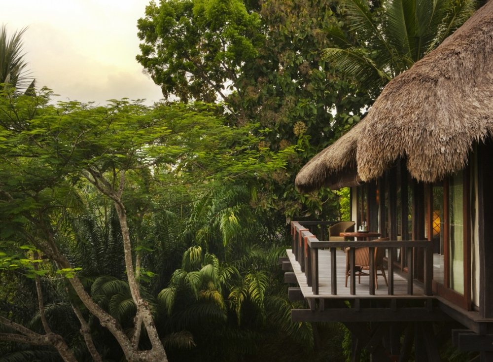 Koichiro Ikebuchi -巴厘岛科莫香巴拉度假酒店 COMO Shambhala_Como-Shambhala-Estate-Bali-Guest-room-balcony-thatched-roof-with-views-of-forest.jpg
