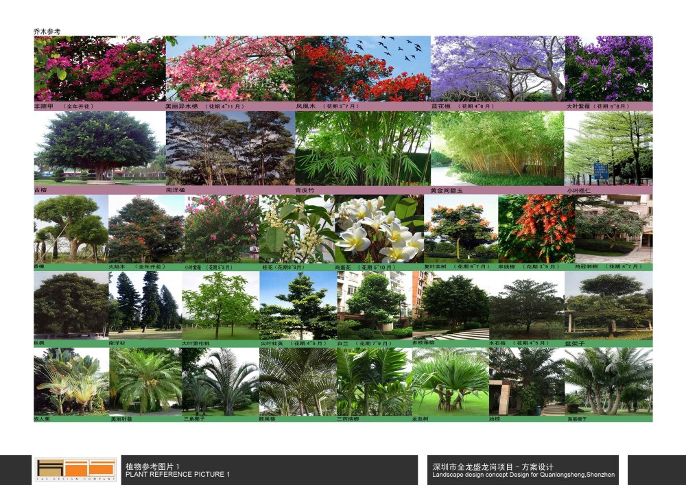 KHD-龙岗全龙盛-紫云庭绿化方案201101_65-植物参考图片1.jpg