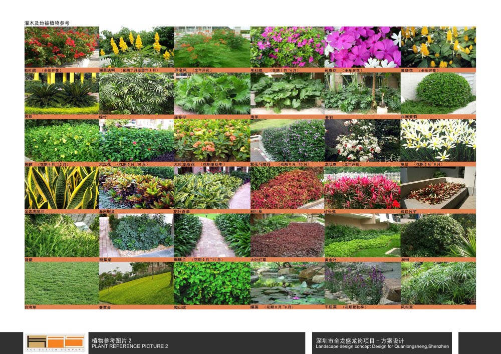 KHD-龙岗全龙盛-紫云庭绿化方案201101_66-植物参考图片2.jpg