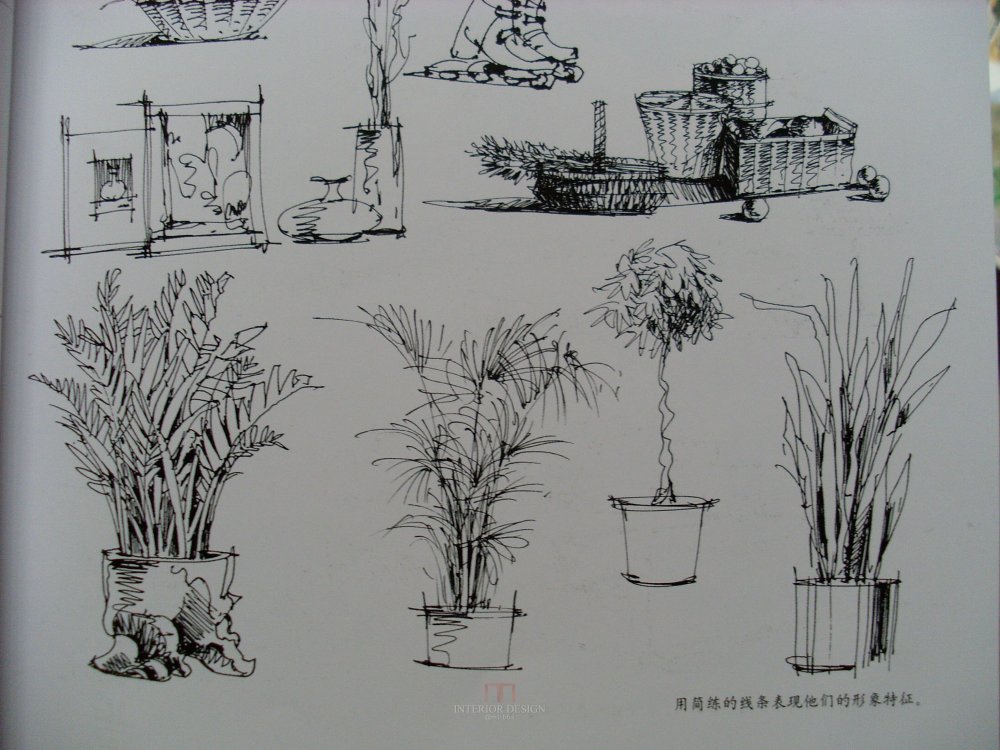 大师的经典手绘作品，分享一下_SL370661.JPG