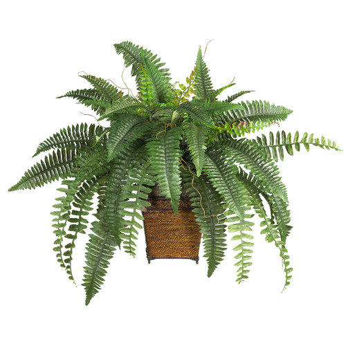 绿色植物-纯爱_Nearly-Natural-Silk-Boston-Fern-Plant-with-Wicker-Basket-in-Green.jpg