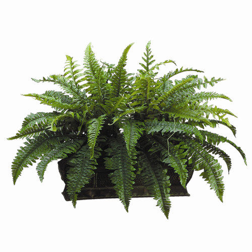 绿色植物-纯爱_Allstate-Floral-17-Boston-Fern-with-Long-Metal-Container.jpg