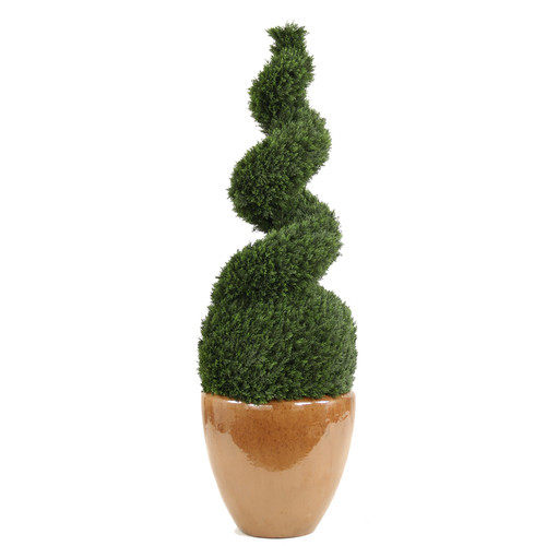 绿色植物-纯爱_Distinctive-Designs-55-Short-Spiral-Cedar-Topiary-with-Round-Ball-Base-in-Medium.jpg