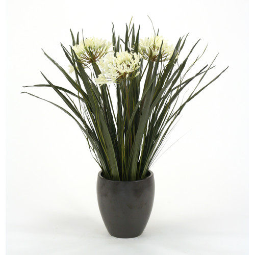 绿色植物-纯爱_Distinctive-Designs-Artificial-Agapanthus-with-Blades-and-Grasses-in-Plum-Pot.jpg