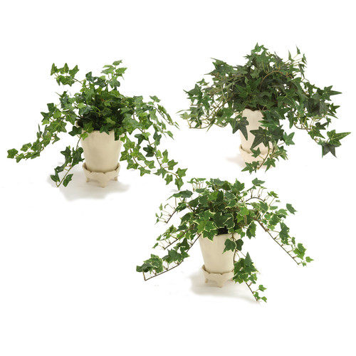 绿色植物-纯爱_Distinctive-Designs-Miniature-Silk-Foliage-in-Pot-with-Saucer-(Set-of-6).jpg