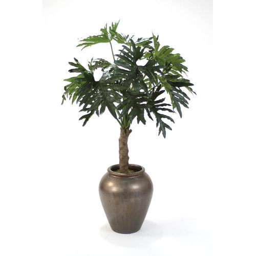 绿色植物-纯爱_Distinctive-Designs-Philodendron-Selloum-in-Tall-Stone-Water-Jar.jpg