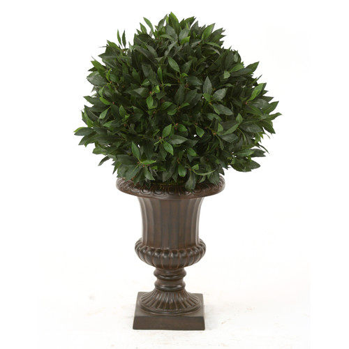 绿色植物-纯爱_Distinctive-Designs-Sweet-Bay-Single-Ball-Topiary-in-Classic-Urn.jpg