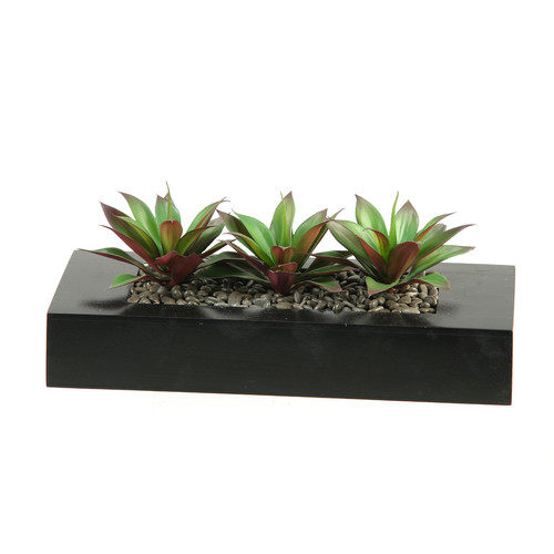 绿色植物-纯爱_D--W-Silks-Aloe-Plant-Succulents-in-Wooden-Tray.jpg